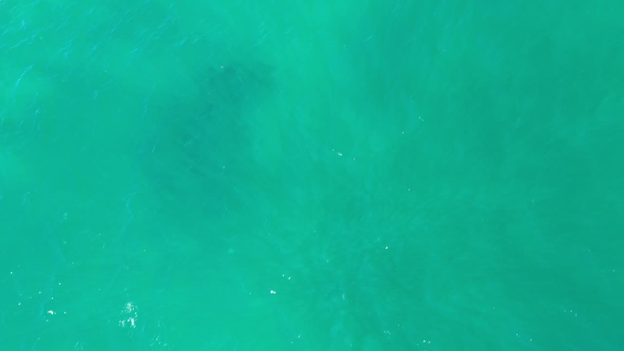 Overhead Los Cabos water frame with teal color, small ripple highlights, diffuse darker areas below the surface, and no visible people.