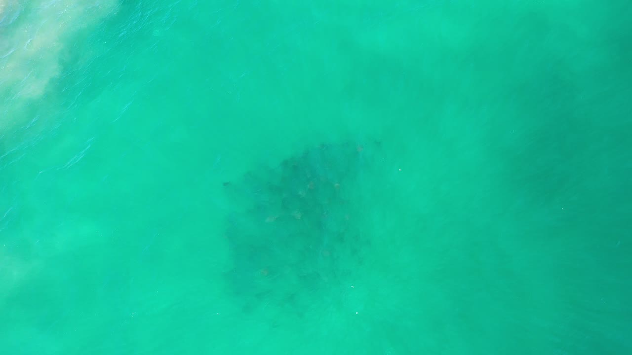 Overhead view in Los Cabos, Mexico of turquoise-green ocean with a dark whale-like form below the rippled surface and no visible people.