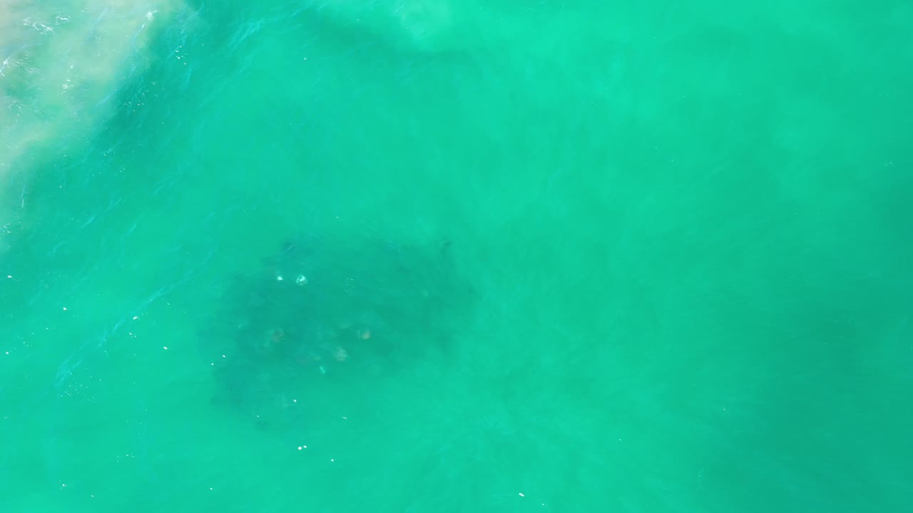 A compact dark school of fish remains visible under clear green ocean water near Los Cabos, Mexico, with a few bright surface reflections and no visible people.