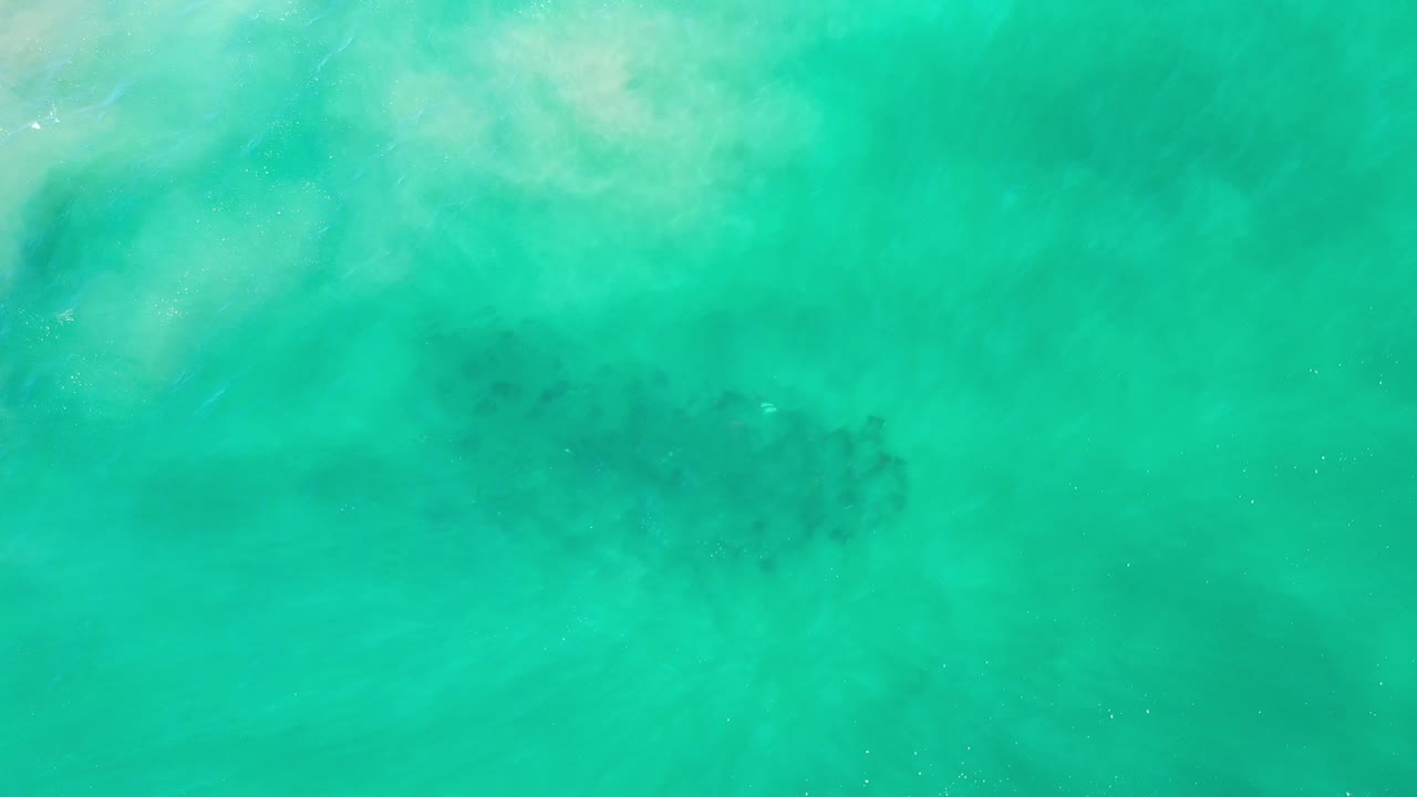 Green ocean surface with a dark fish school under the water