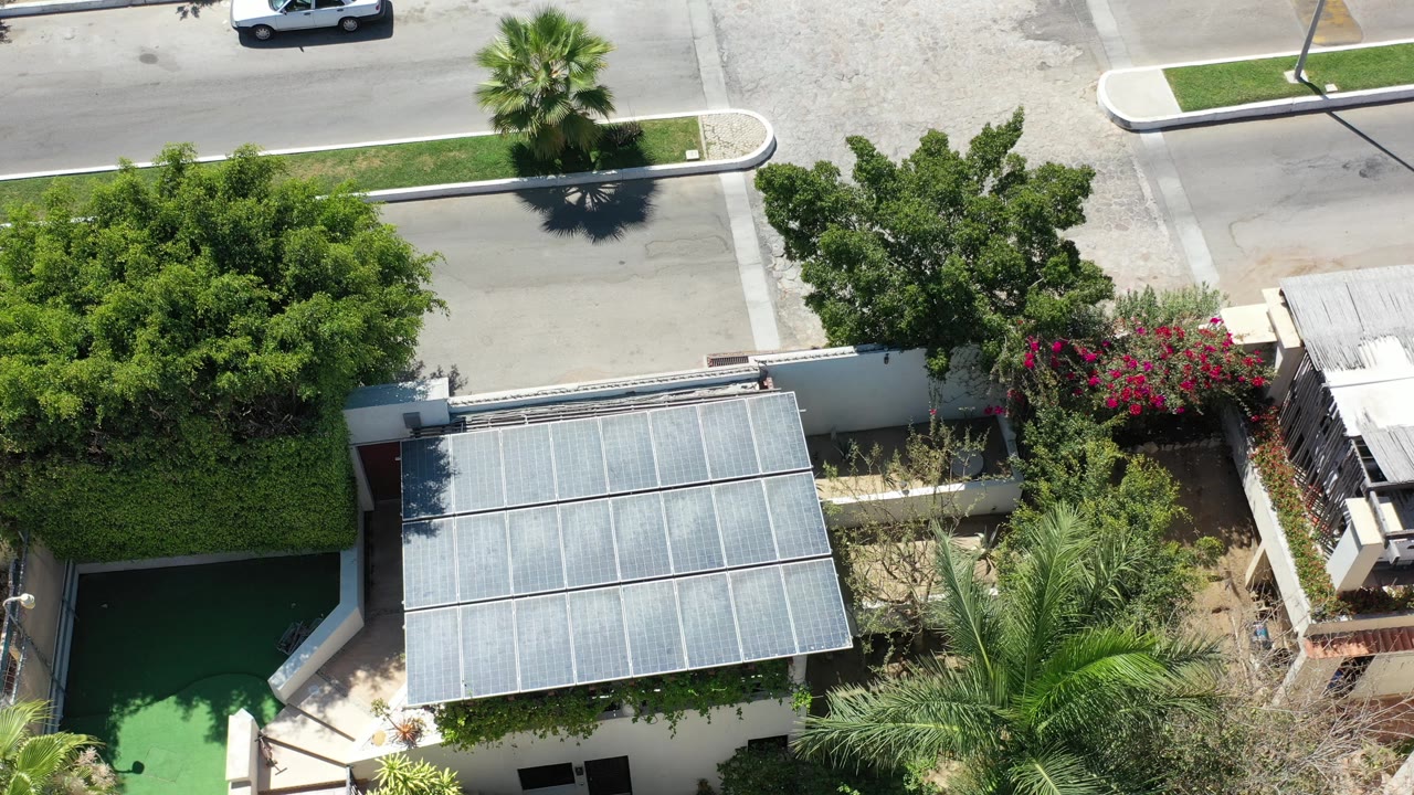 Top-down street view with a white vehicle at the road edge, trees, flowering shrubs, and a metal roof.