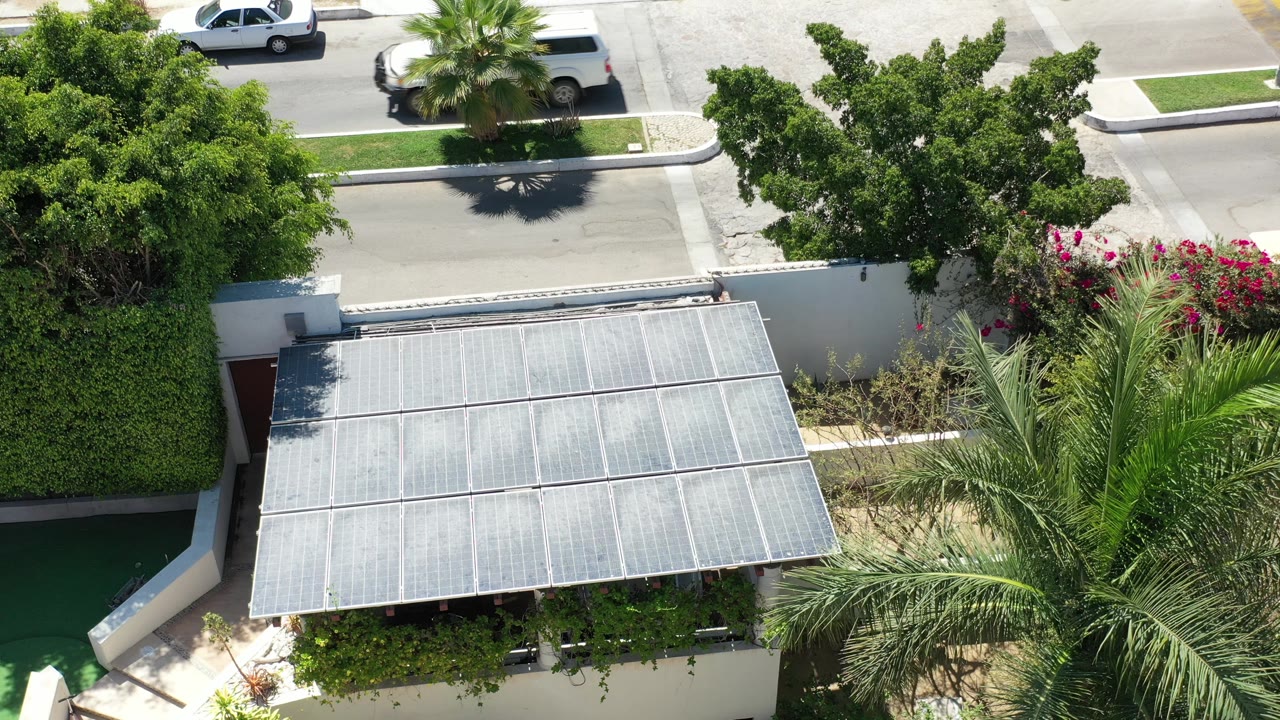 Overhead view of residential road, trees, palms, and a white vehicle near the top of frame.