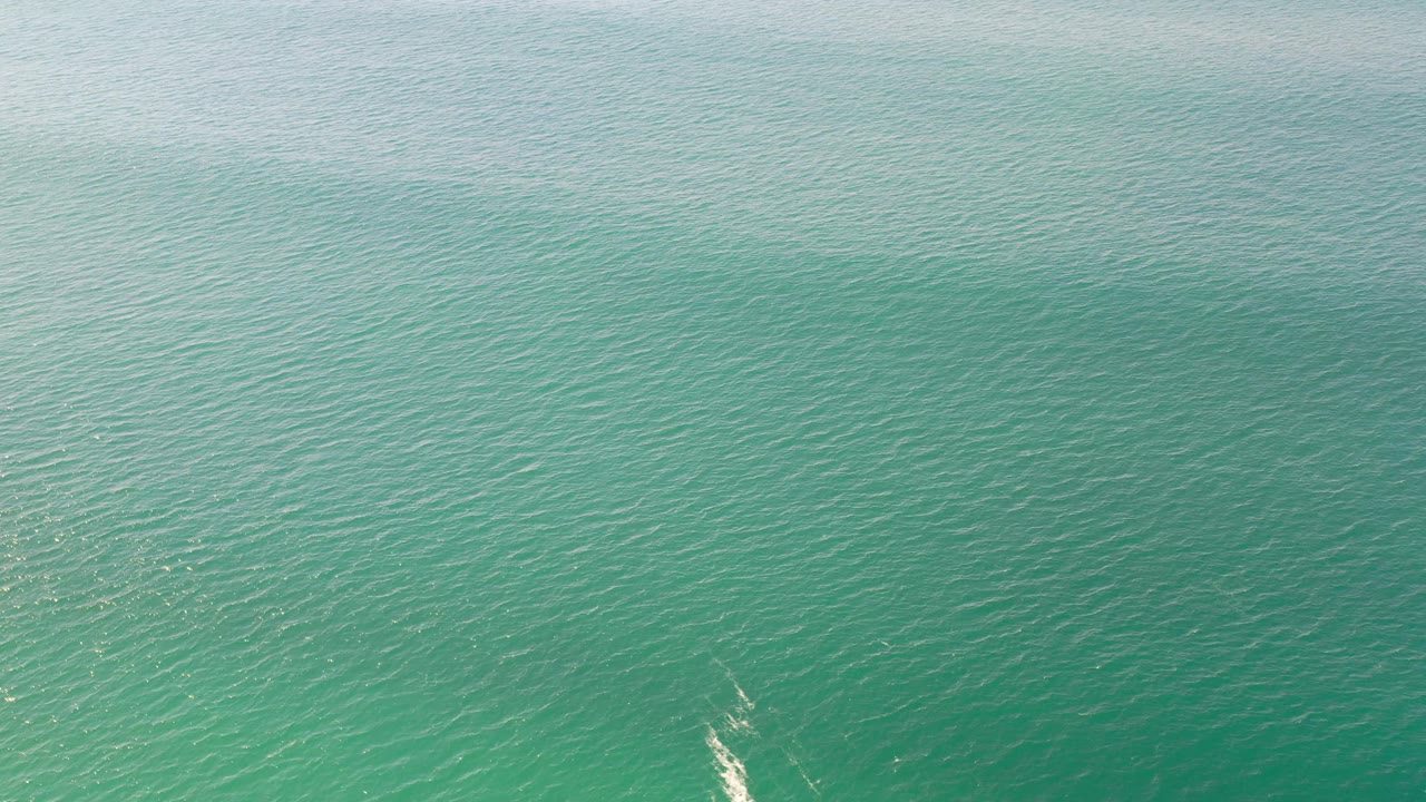 Open green sea surface with a small white wake near the lower right.
