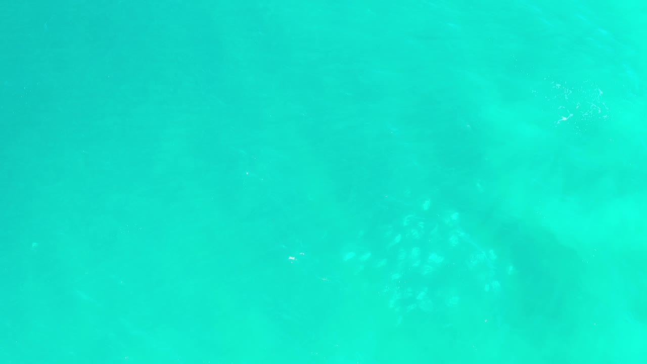 Opening frame of turquoise Los Cabos water with faint submerged shadows and pale surface ripples, no visible people.