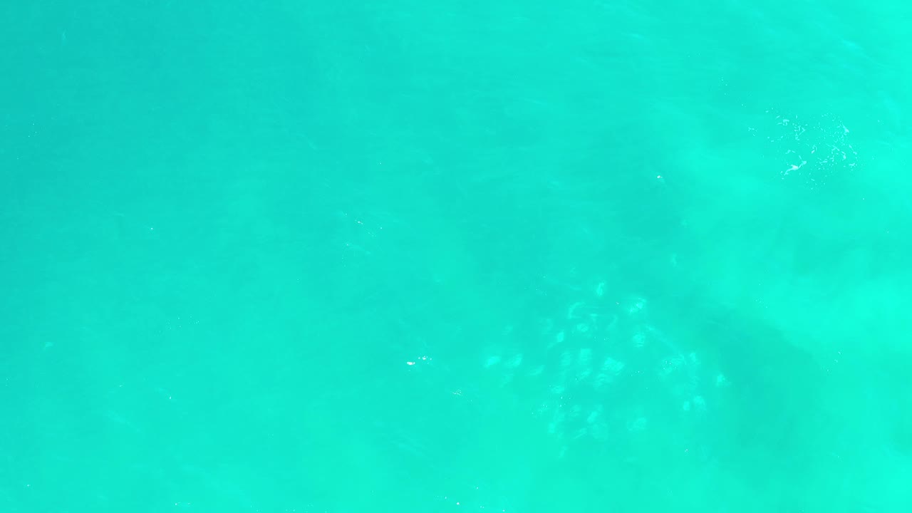 Bright teal Los Cabos water fills the frame with cloudy underwater texture shifting across the center, no visible people.