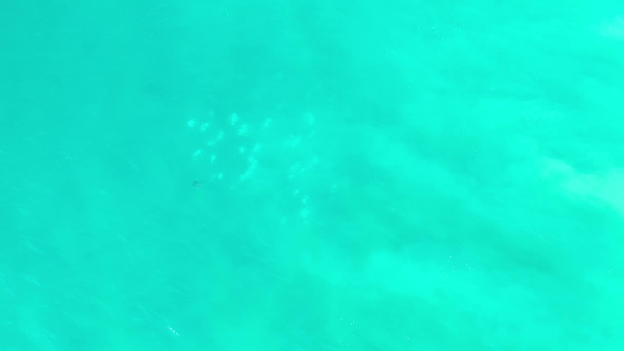 Overhead view of turquoise green sea water in Los Cabos, Mexico, with soft underwater patches and no visible people.