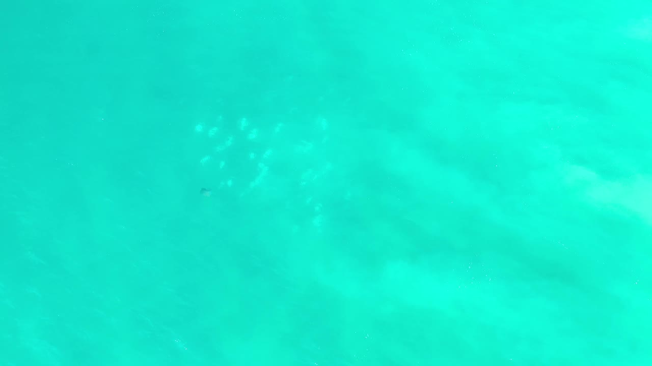Clear green sea surface in Los Cabos, Mexico, with diffuse pale areas below the water and no visible people.