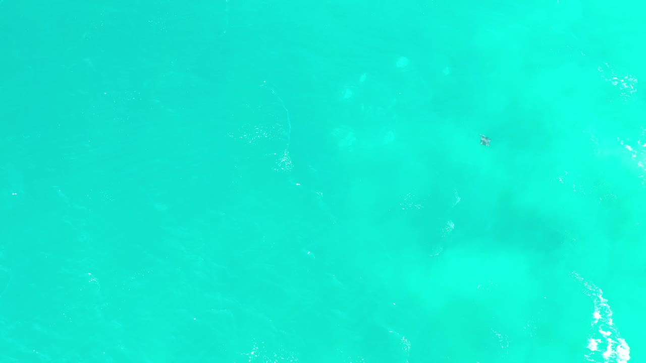 Aquamarine water with small sunlight highlights.