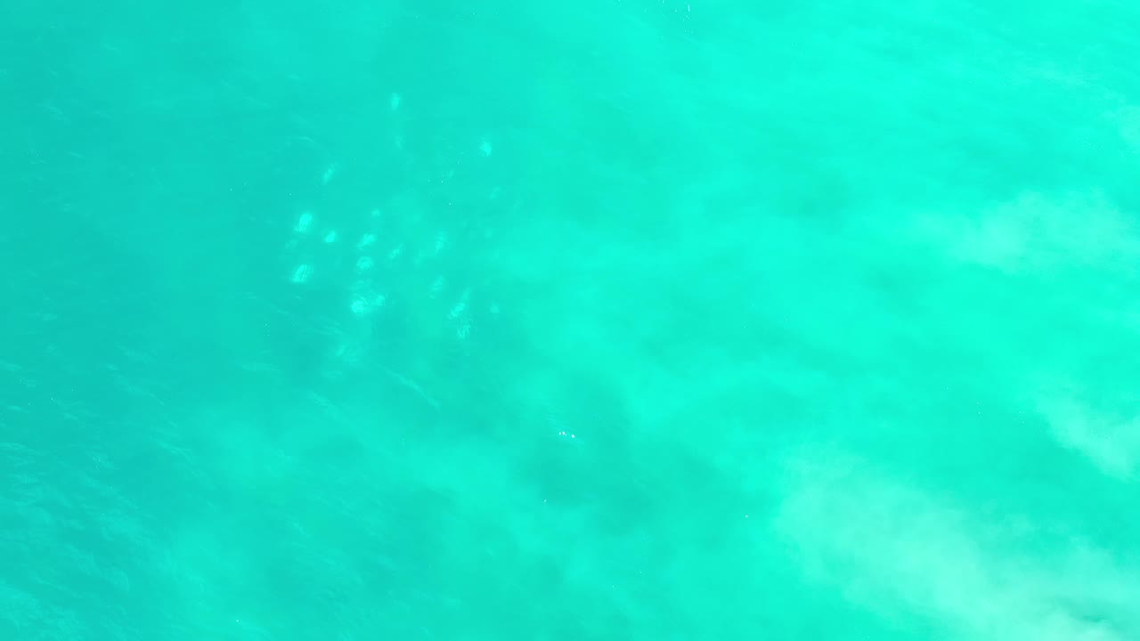 Green-blue Los Cabos ocean fills the frame as soft foam patches drift across the upper area, with a faint school of fish visible below and no visible people.