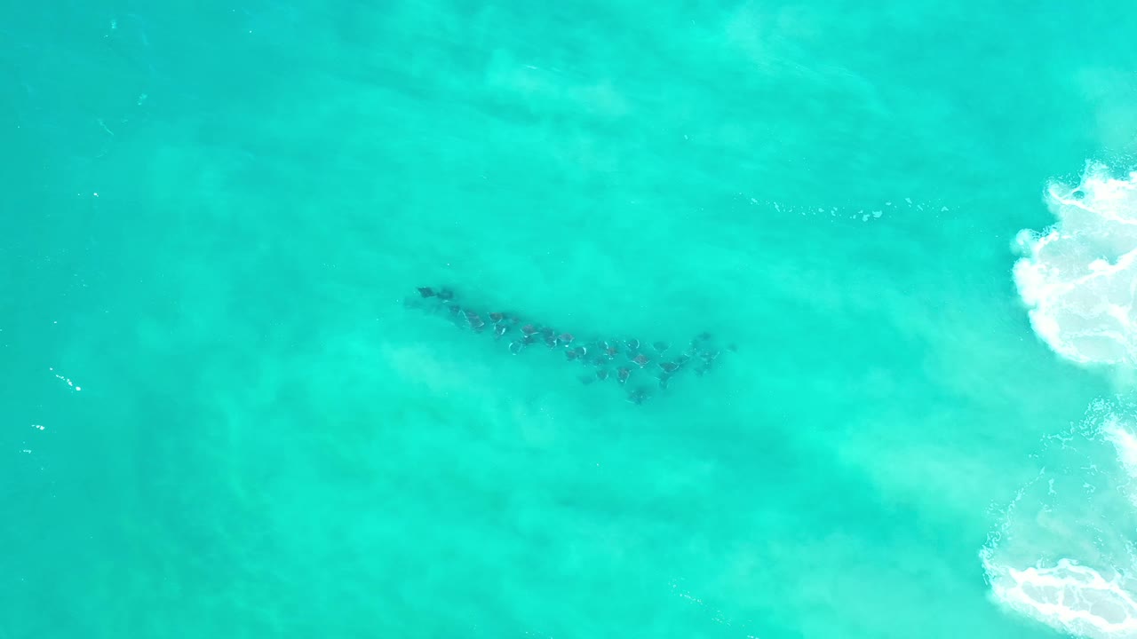 Aerial Los Cabos water frame with turquoise shallows, a dark irregular underwater area slightly left of center, white foam along the right border, and no visible people.
