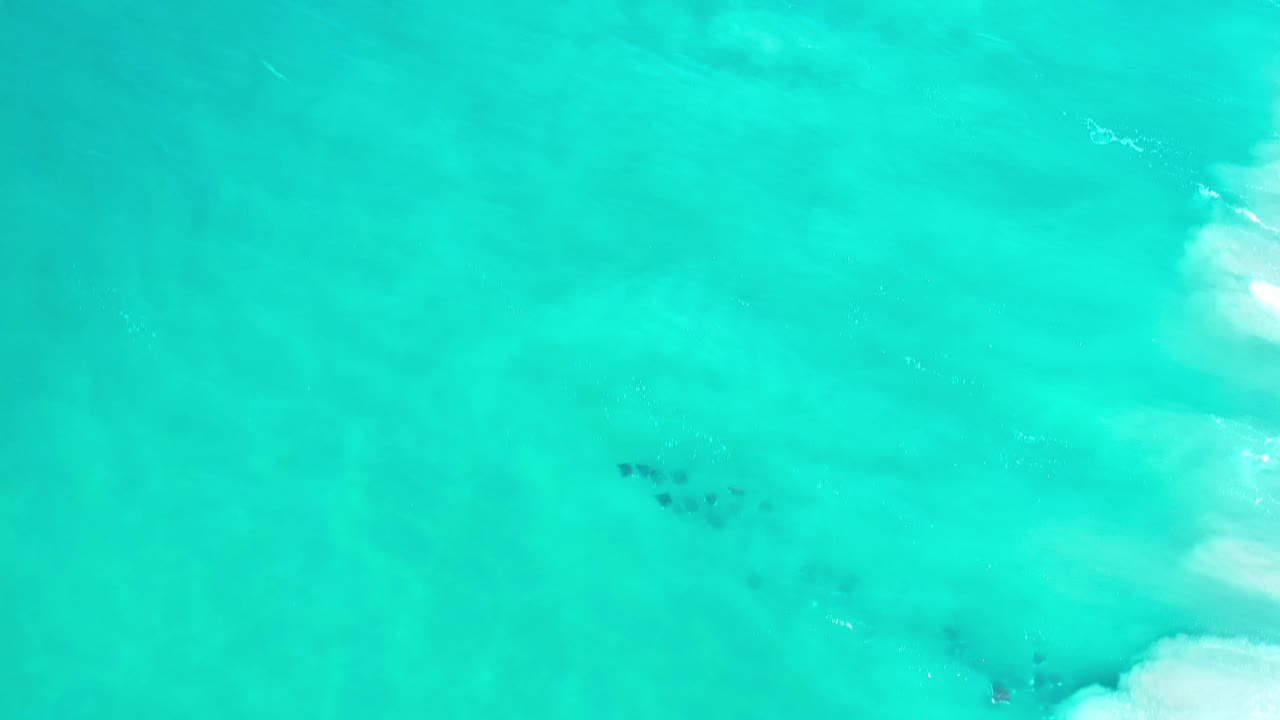 Overhead turquoise sea with darker patches near surf