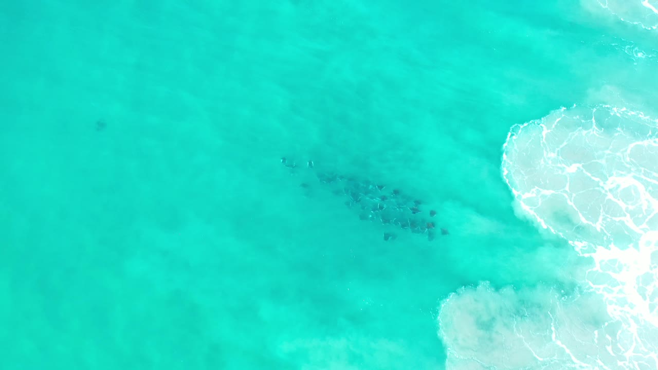 Aerial green water with surf breaking along the right side