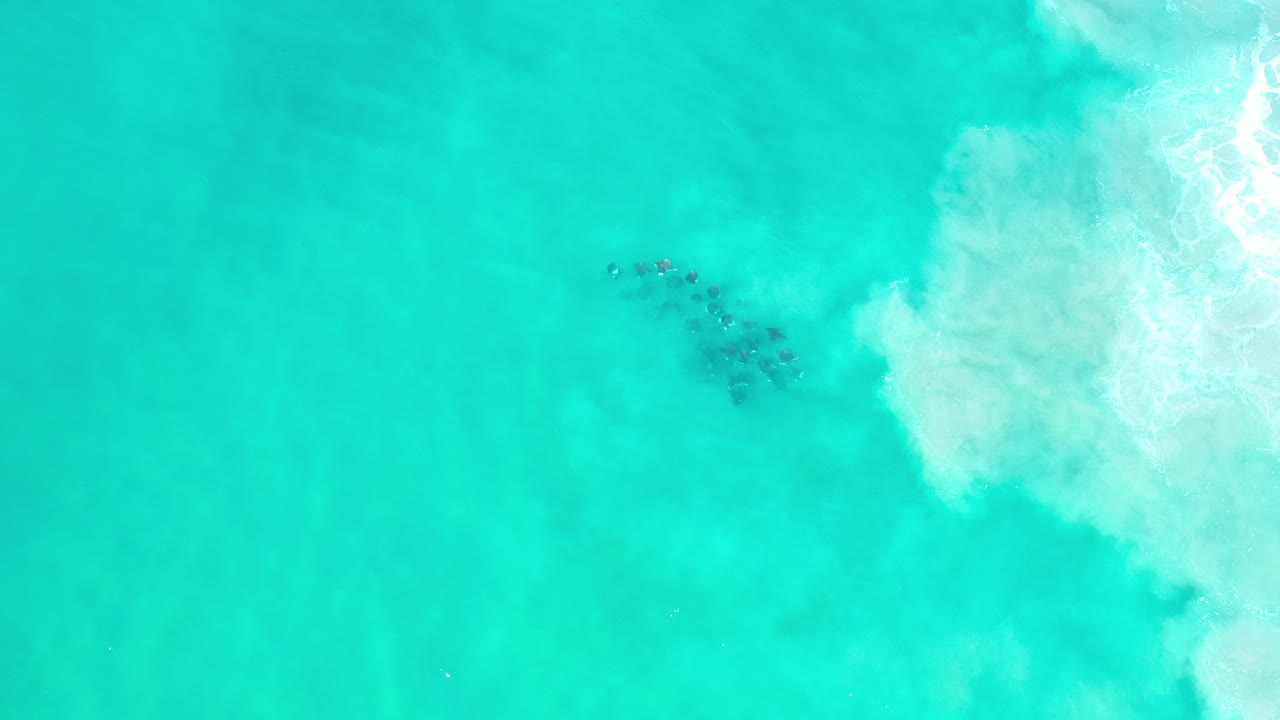 Overhead view of turquoise water in Los Cabos, Mexico, with a small dark school of fish under the surface near the upper center and white surf foam entering from the right, no visible people.