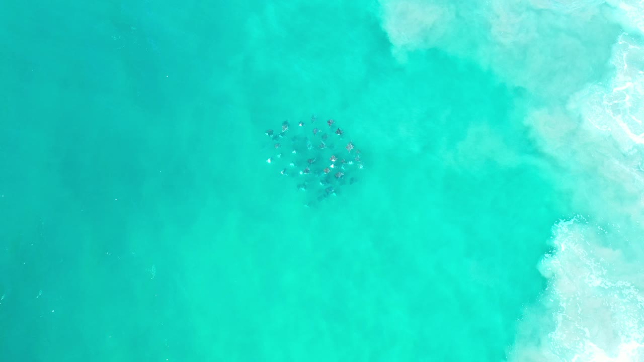 Turquoise ocean water with white surf at the right edge and dark shapes below the surface.