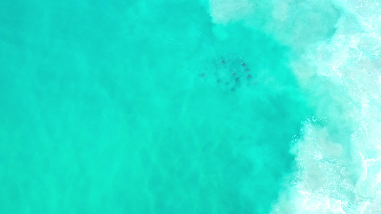 Top-down view in Los Cabos, Mexico of a dark fish-like marine subject beneath turquoise water, with bright white foam along the right edge and no visible people.