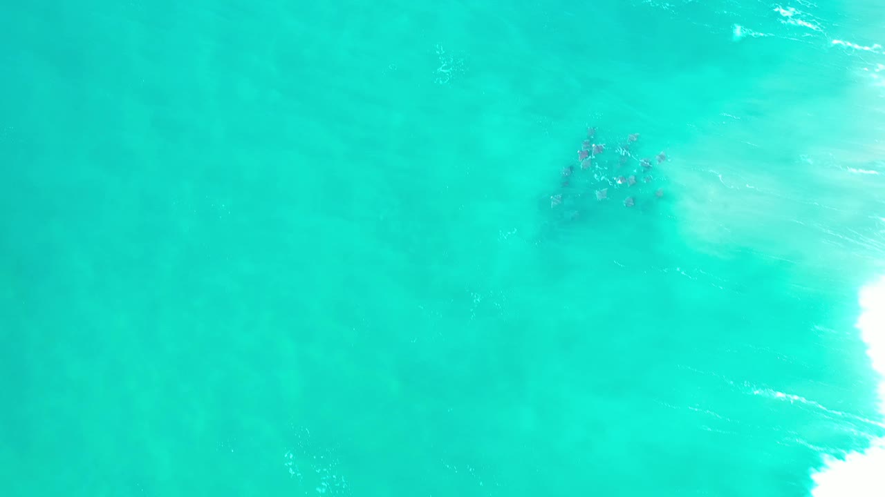 The fish school remains near the upper middle of the Los Cabos water while bright pale surf or glare enters along the right edge, with no visible people.