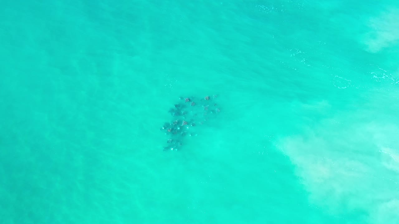 A dark school of fish appears beneath bright turquoise-green water in Los Cabos, Mexico, with pale submerged wash to the right and no visible people.