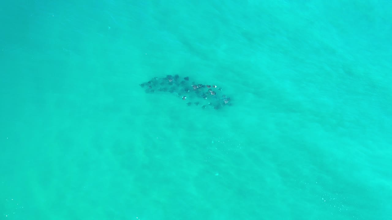 Top-down view of turquoise water in Los Cabos, Mexico, with a dark clustered shape beneath the surface near the upper left and no visible people.