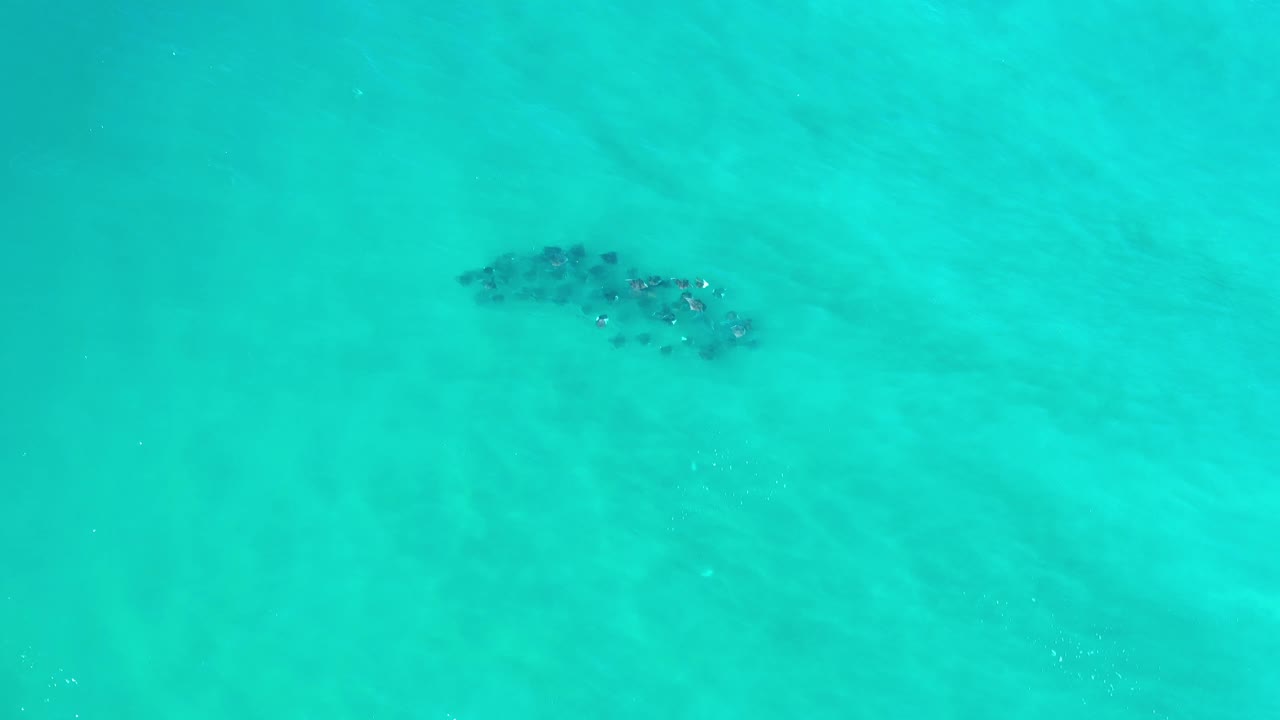 Top-down Los Cabos water view with the dark underwater cluster nearer the top center, pale surface streaks, and no visible people.