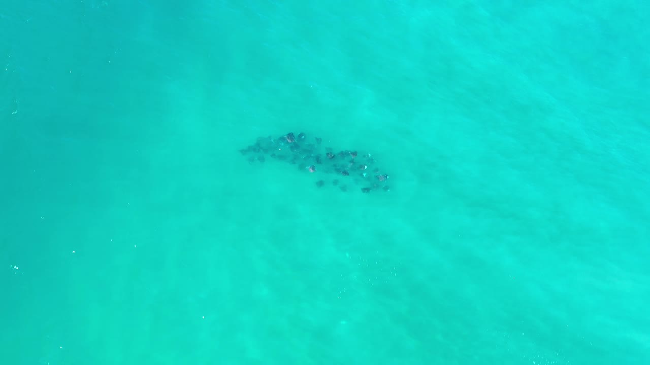 Bright turquoise water with a dark cluster beneath the surface near the upper middle.