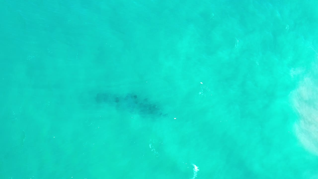 Overhead view in Los Cabos, Mexico of a dark whale-shaped form under turquoise-green water, with pale sandy patches and no visible people.