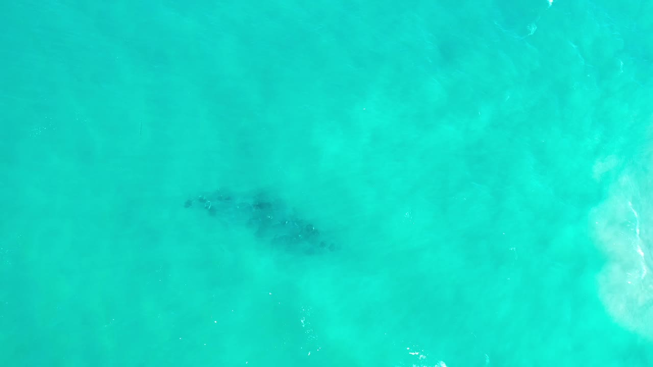 Whale shape under clear turquoise sea with pale wake-like water
