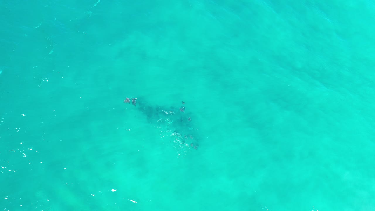 Overhead view in Los Cabos, Mexico, showing a small dark school of fish beneath bright turquoise water with pale sand texture and no visible people.