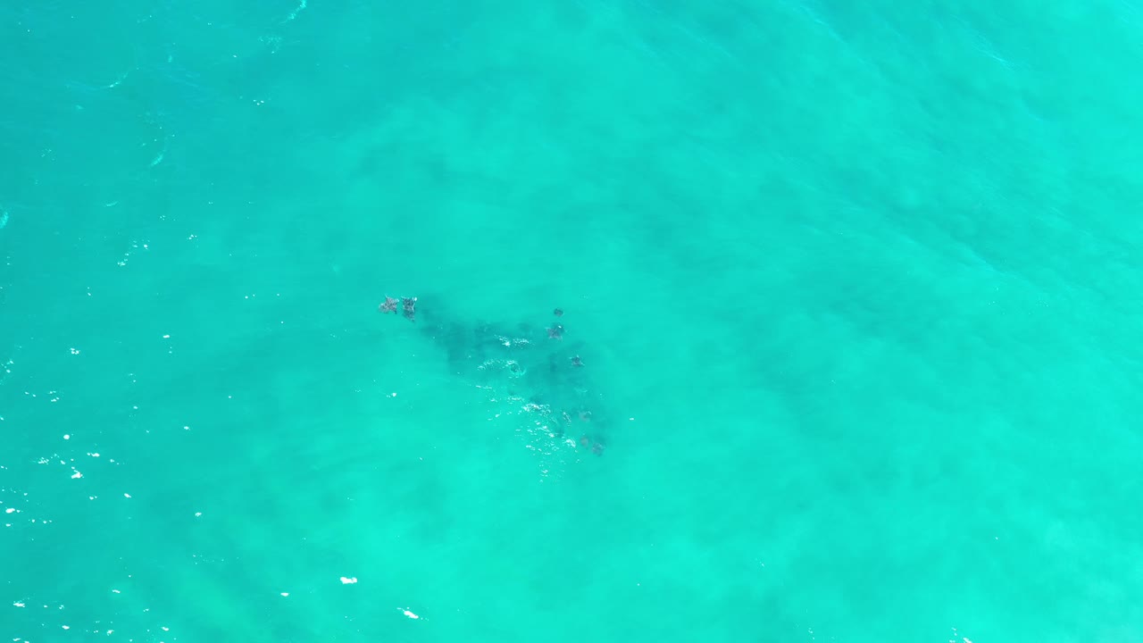 A fish cluster sits slightly left of center under rippled blue-green water in Los Cabos, Mexico, with no shoreline or visible people.