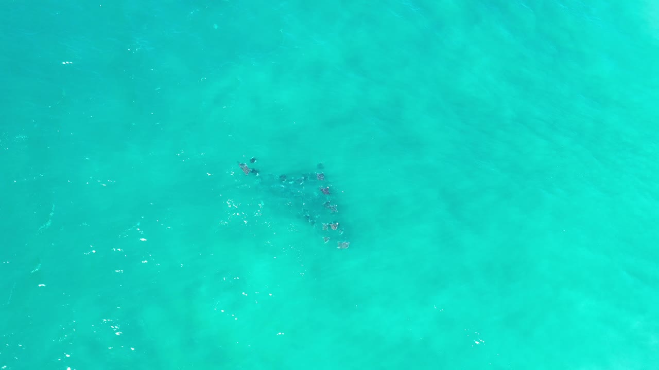 Dark fish group near the upper right of clear water.
