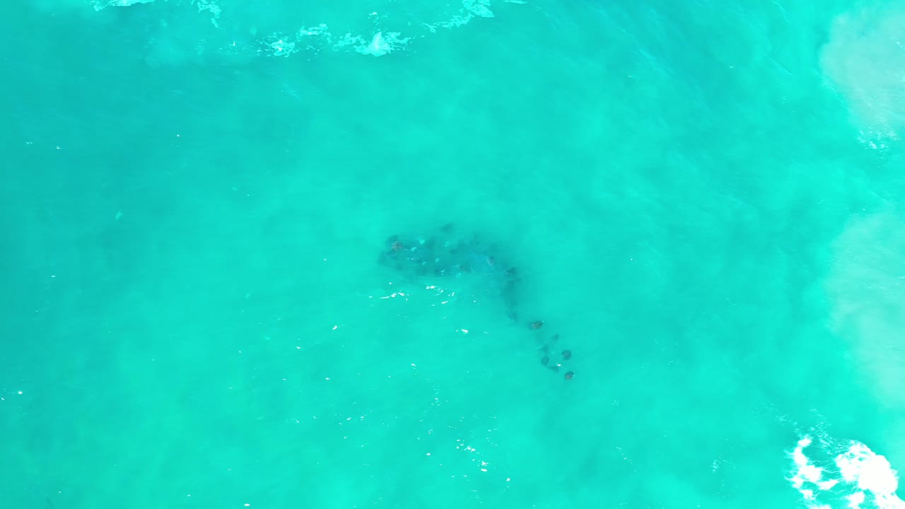 Top-down view of turquoise water in Los Cabos, Mexico, with a dark fish school near the center-left and no visible people.
