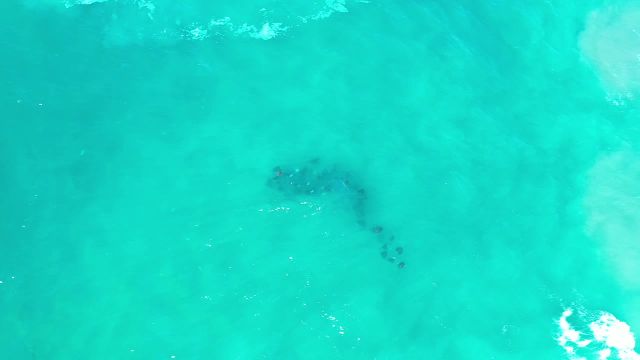 Clear turquoise sea in Los Cabos, Mexico, with fish clustered below the surface and bright white foam near the lower right, with no visible people.