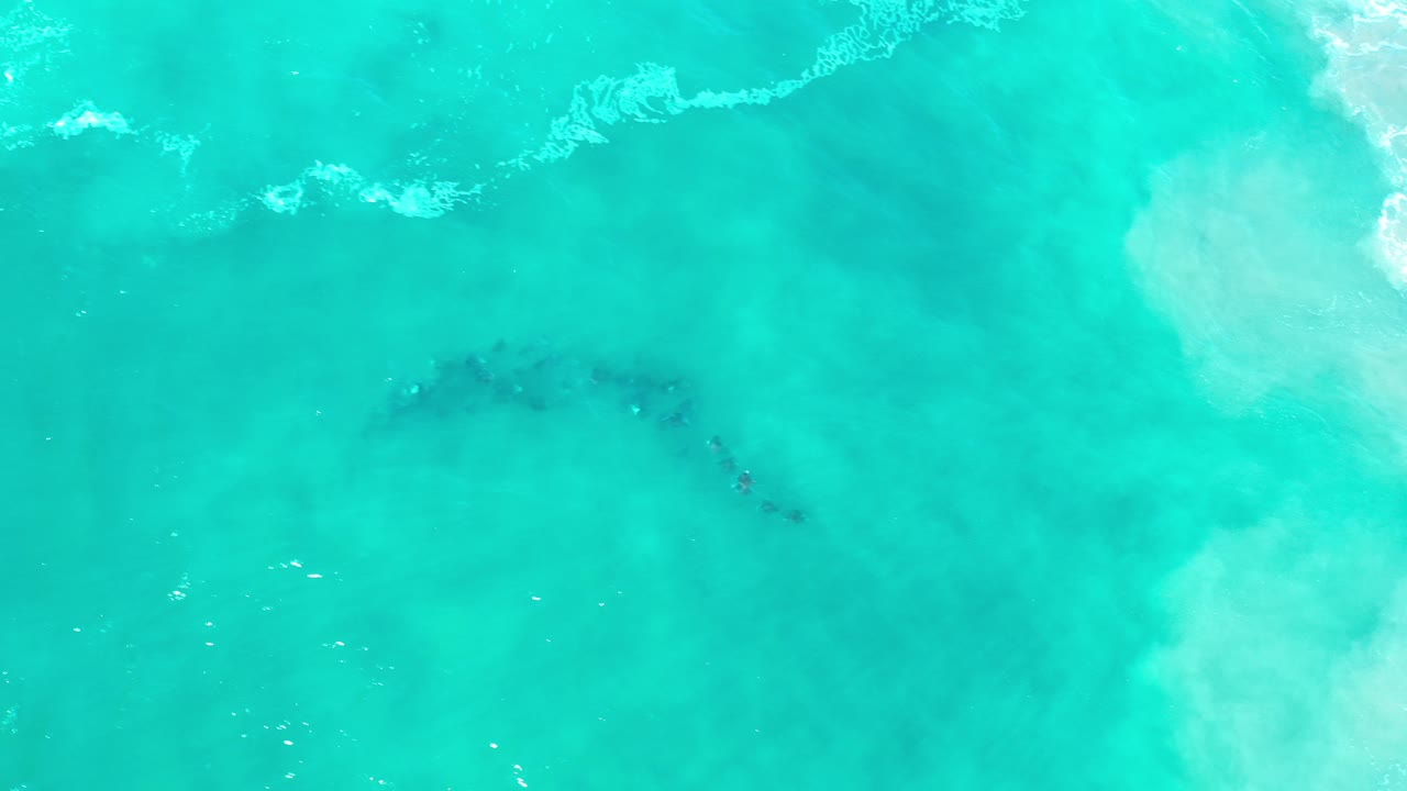 Turquoise ocean water with a dark fish shape below the surface