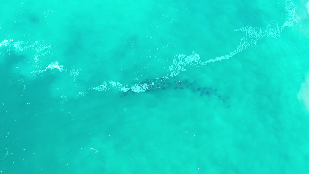 Overhead view of turquoise ocean in Los Cabos, Mexico, with a thin white foam line and dark fish-like shapes near the center, no visible people.