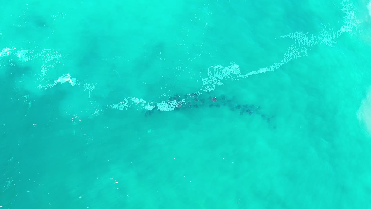 Aerial frame over Los Cabos turquoise water with scattered white foam and a dark cluster of fish-like forms slightly below center, no visible people.