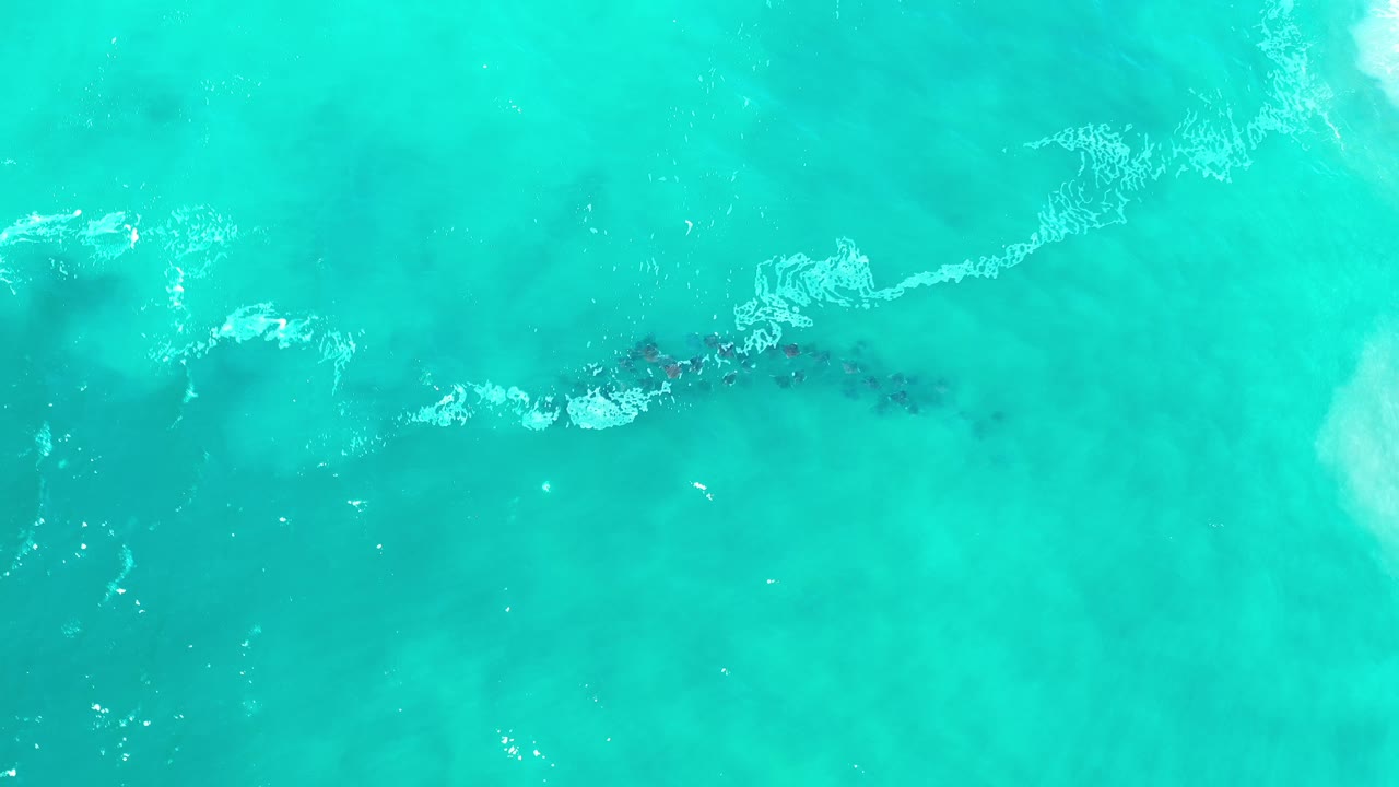 Bright blue ocean surface with foam streaks and dark shapes under the water.