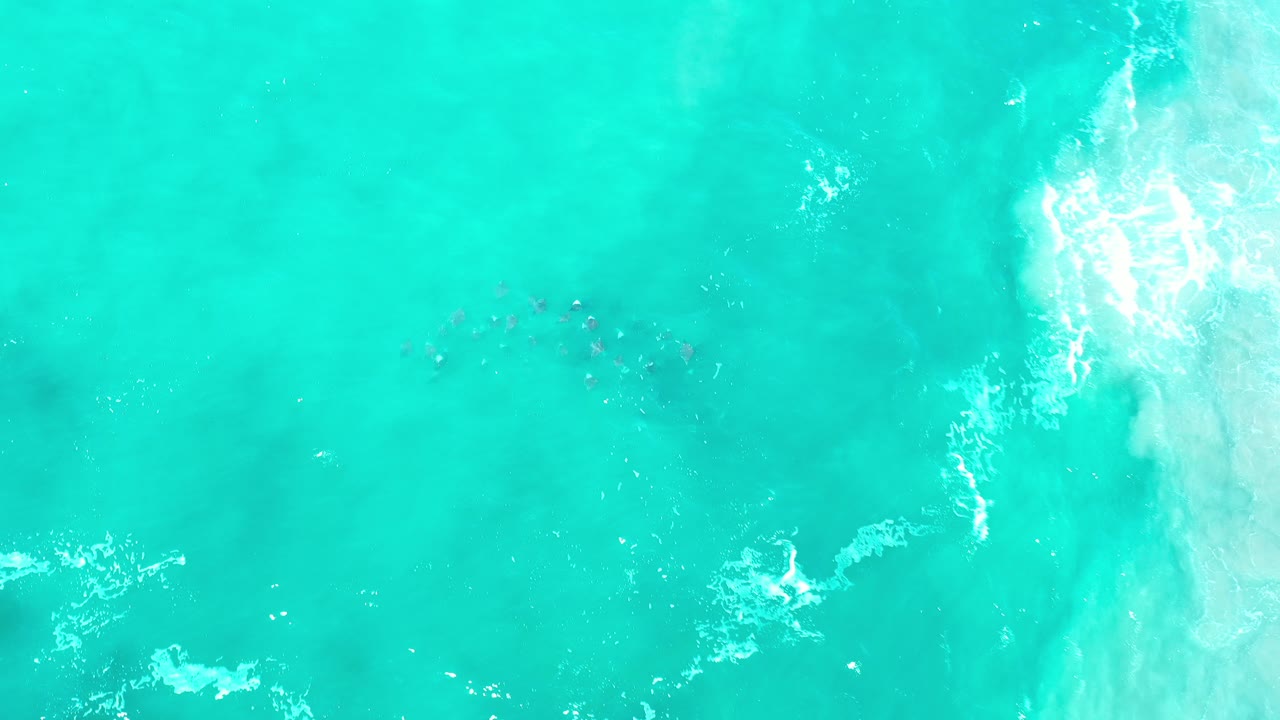 Overhead view of turquoise sea in Los Cabos with a small cluster of dark fish beneath the surface, white wave foam at the right edge, and no visible people.