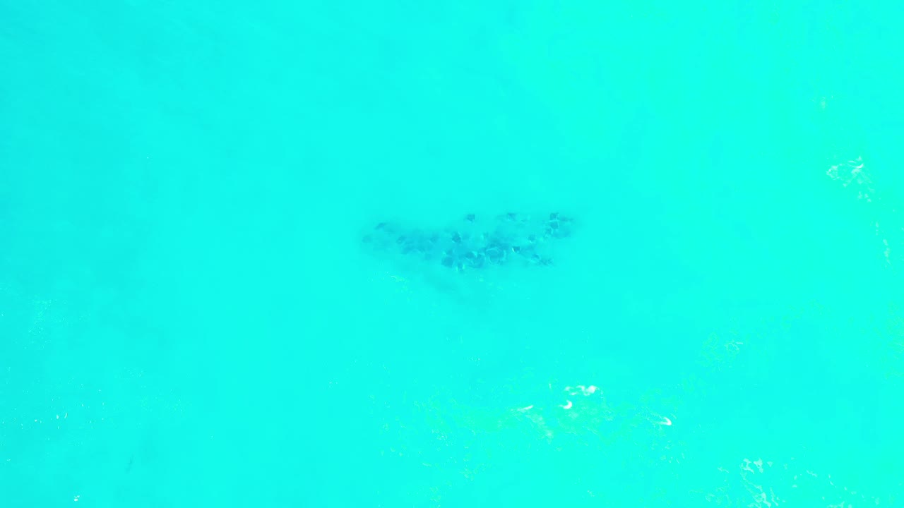 A small dark fish school sits below bright clear blue water in Los Cabos, Mexico, with soft lighter patches around it and no visible people.
