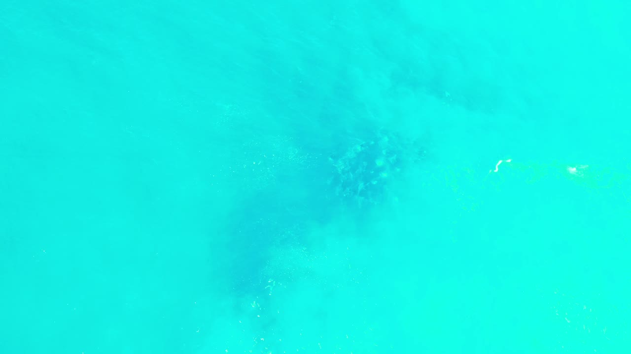 Overhead view of turquoise sea in Los Cabos with a soft dark submerged shape near the upper center and no visible people.