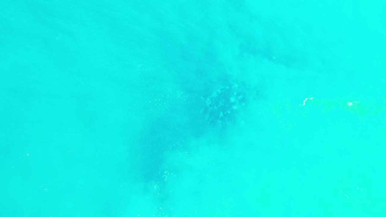 Overhead Los Cabos sea frame with the dark underwater object slightly left of center, pale ripples, and no visible people.