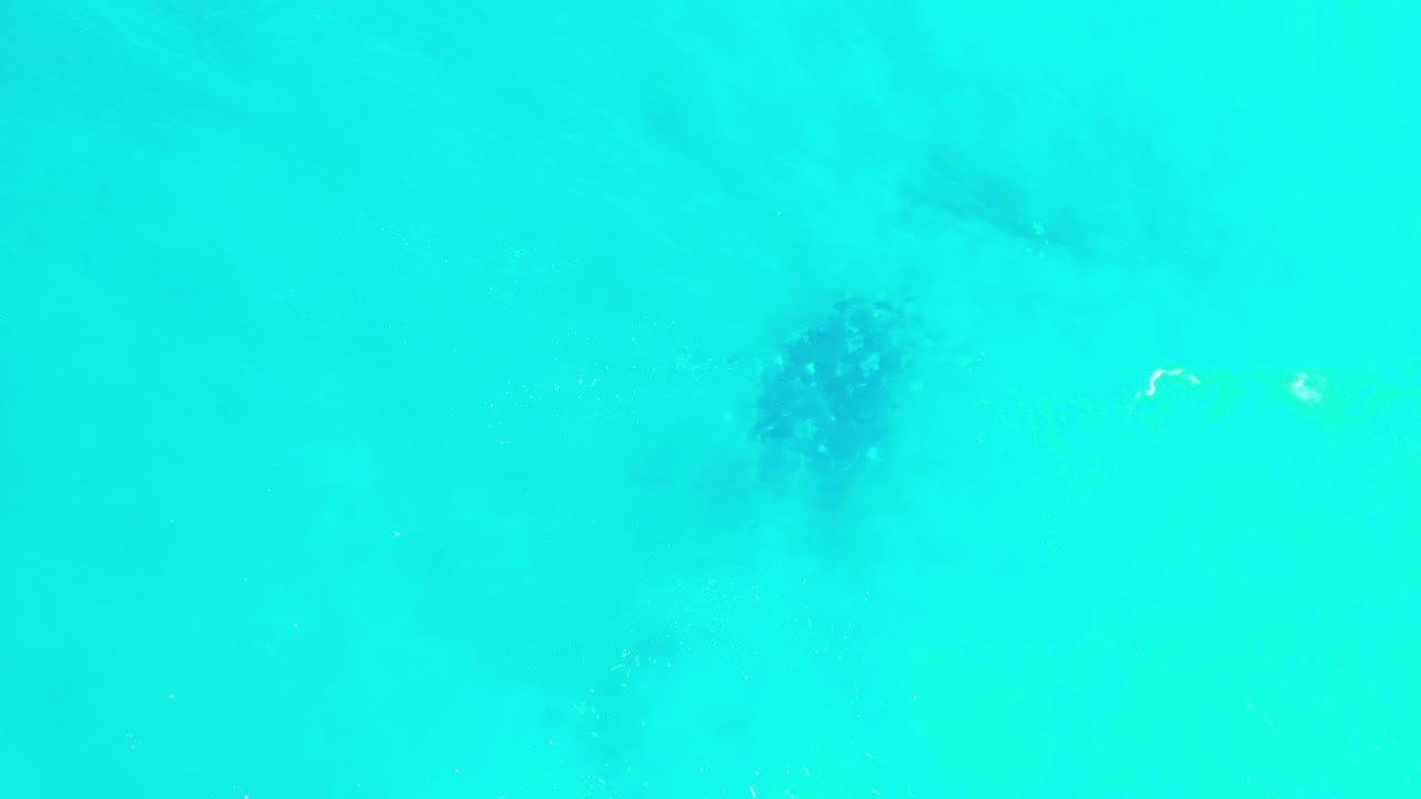 Turquoise water with a dark blurry patch under the surface.