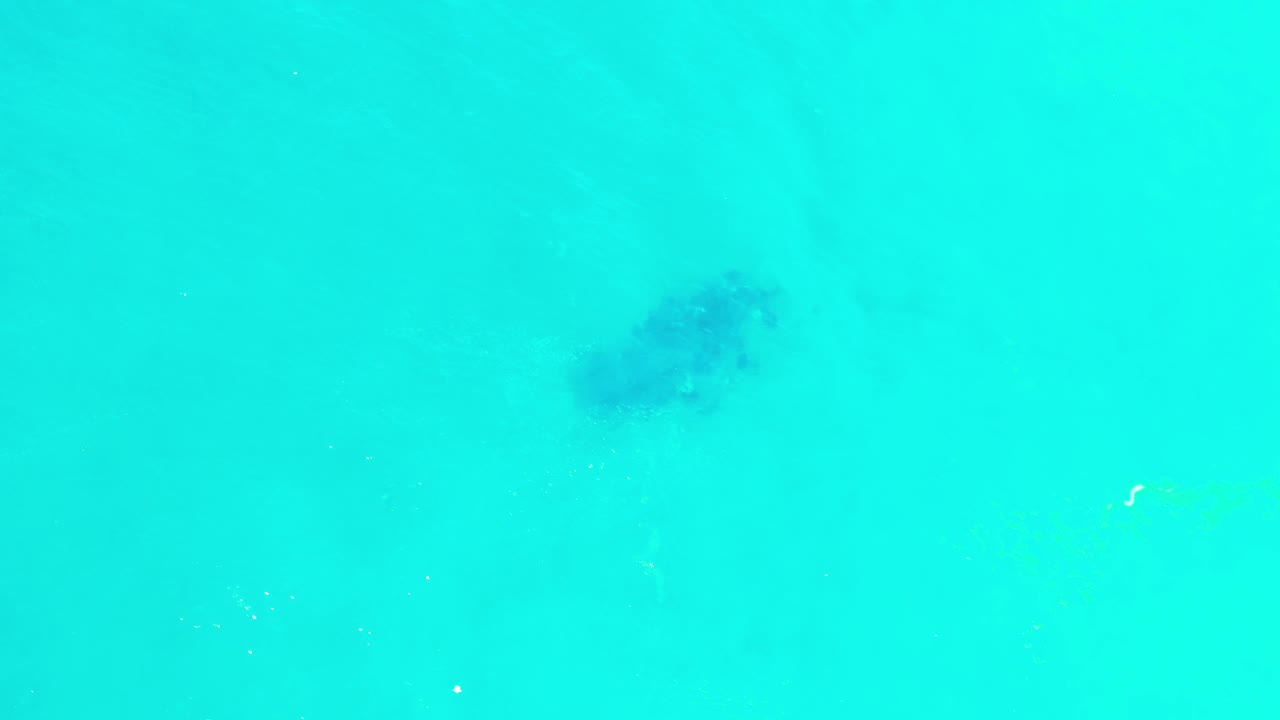 Turquoise water with a dark fish school near the upper center.