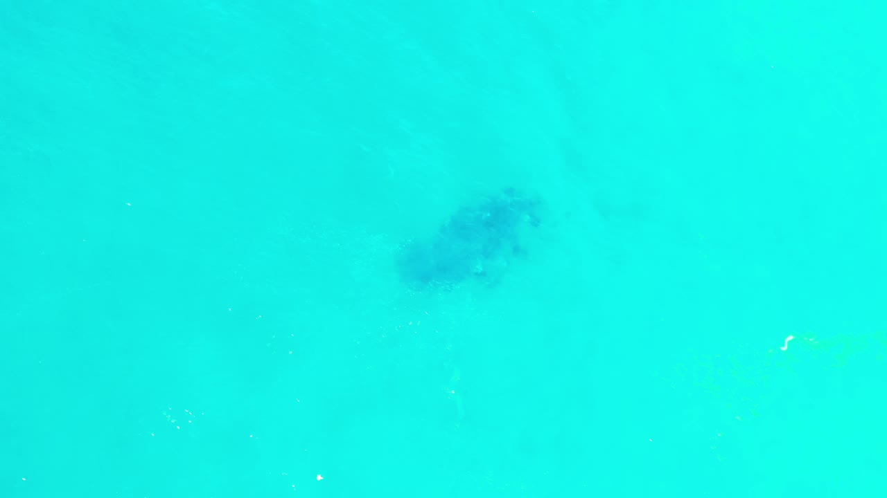 Green-blue water in Los Cabos, Mexico, shows the fish school beneath the surface slightly right of center, with pale water texture around it and no visible people.