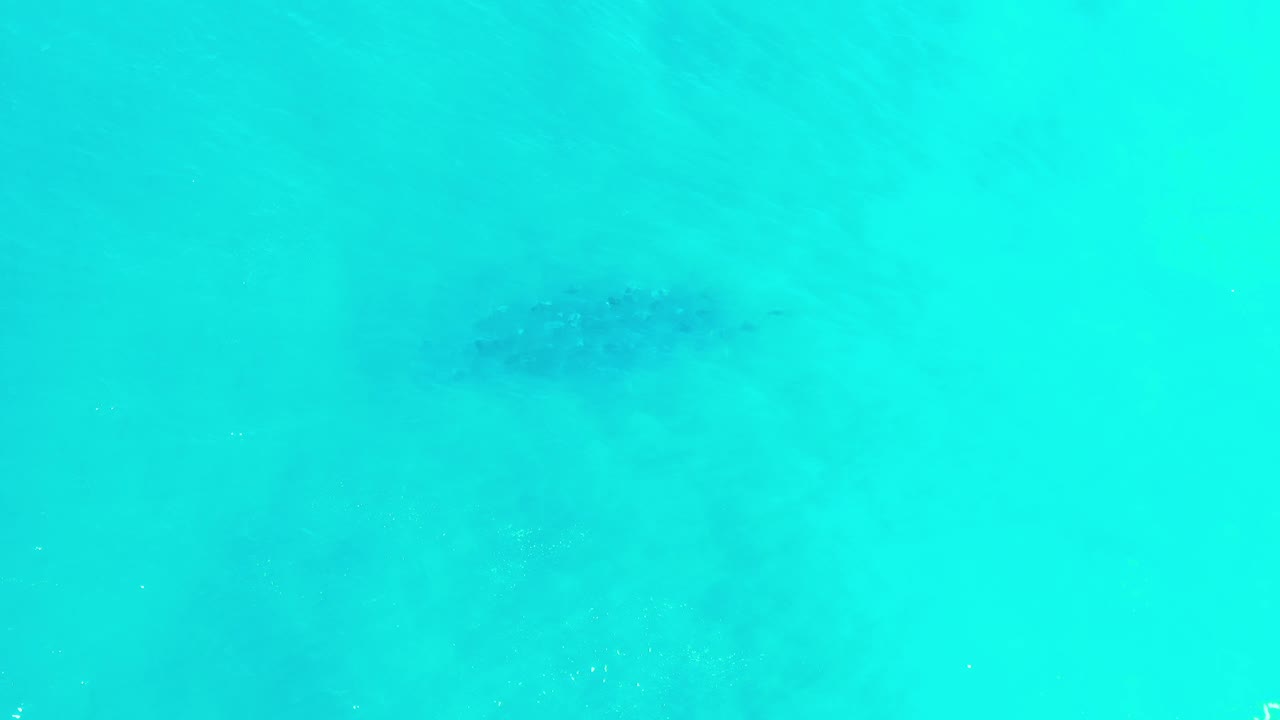 Aqua-green sea fills the frame in Los Cabos, Mexico, with soft underwater clouding near the upper area and no visible people.