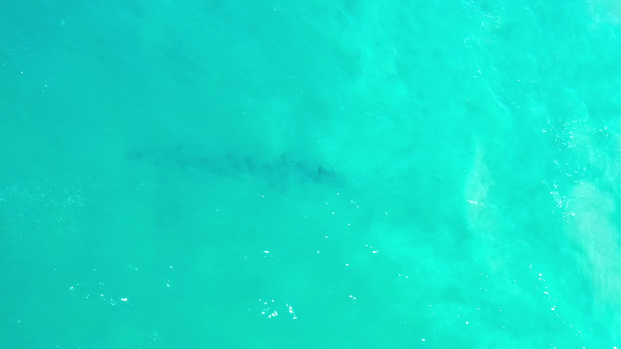 Turquoise ocean surface with a faint dark underwater shape near the upper center.