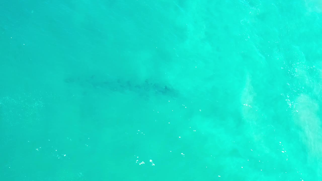 Aerial Los Cabos ocean frame with blue-green water, scattered white highlights, and a small dark underwater form near the upper part of the image, with no visible people.