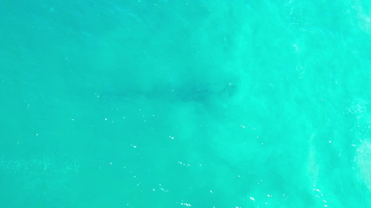 Overhead turquoise water with dark patch beneath the surface