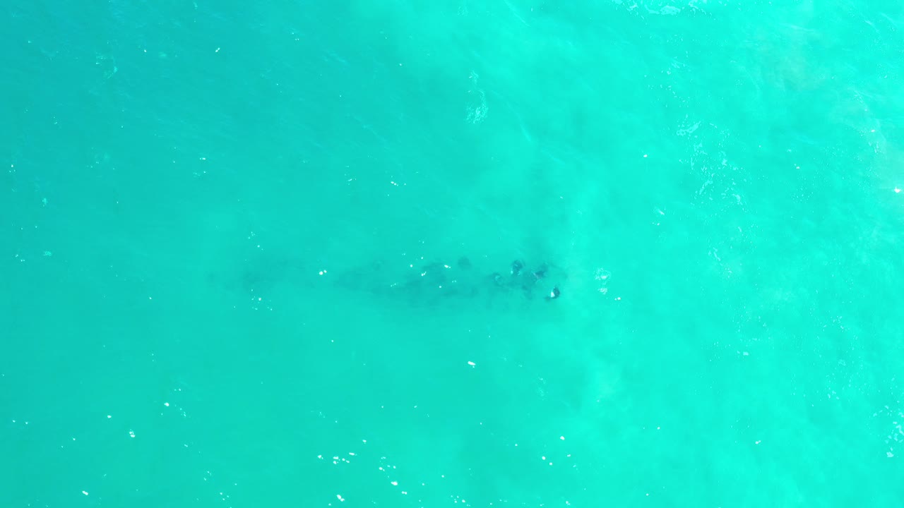 Overhead view of green-turquoise ocean near Los Cabos, Mexico, with small dark marine shapes below the surface and no visible people.