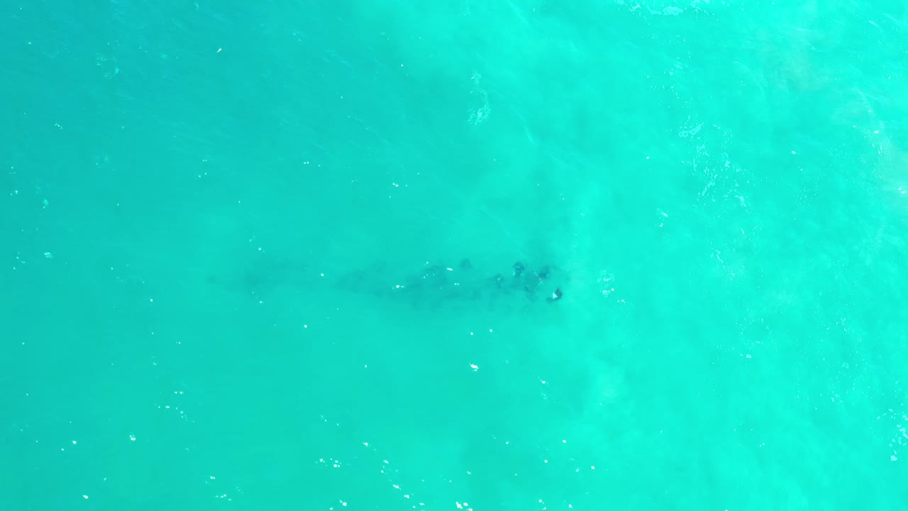 Top-down Los Cabos ocean frame with a compact dark cluster beneath clear green water, faint pale bottom texture, and no visible people.