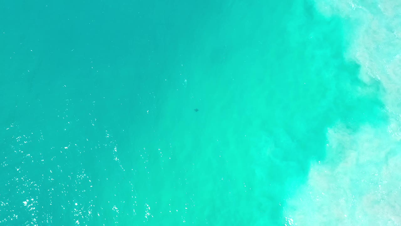 Turquoise ocean water with white foam at the right edge.