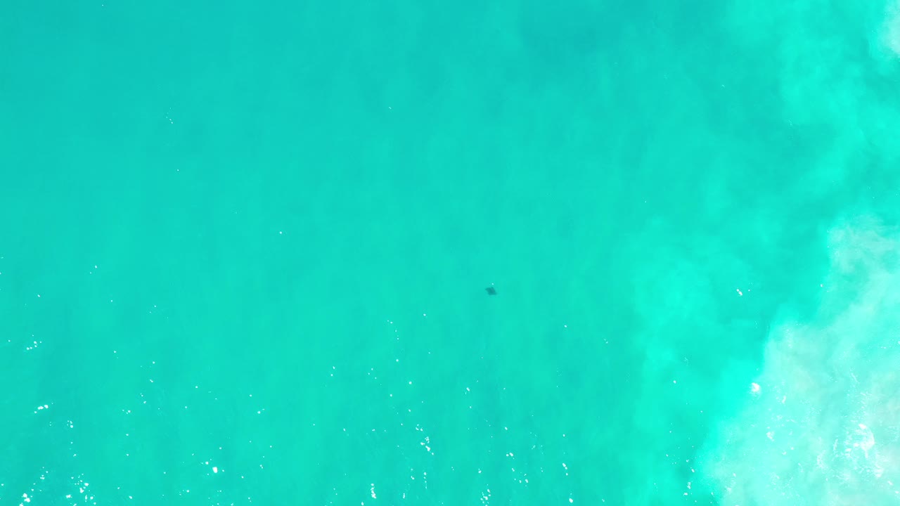 Overhead view of turquoise water in Los Cabos with pale foam drifting through the center and a small dark underwater figure near the upper middle, no visible people.